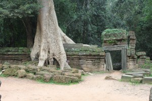 angkor (4)